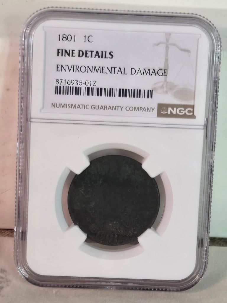 1801 US Draped Bust large Cent coin NGC Fine Details, Damage