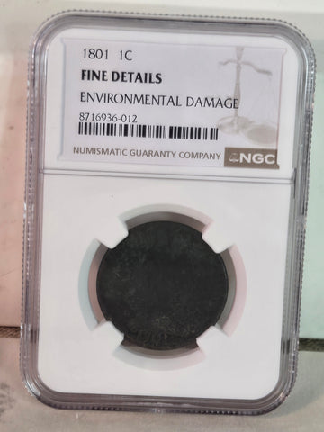 1801 US Draped Bust large Cent coin NGC Fine Details, Damage