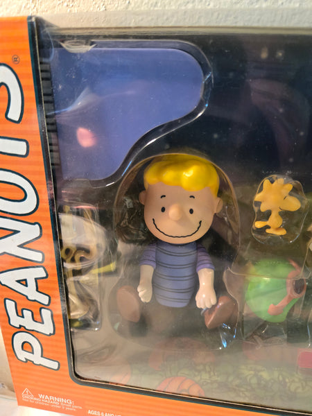 Peanuts It's the Great Pumpkin Charlie Brown, play set 2002 #07762 Never removed from box NIB, figures 5"