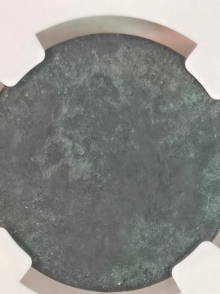 1801 US Draped Bust large Cent coin NGC Fine Details, Damage