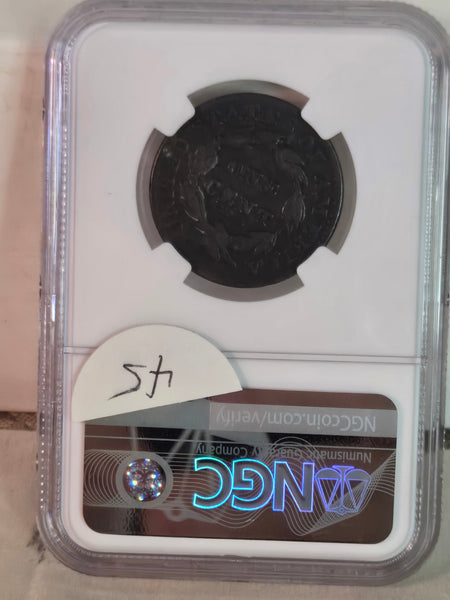 US Coronet Head 1c Large Cent coin NGC Fine Details, scratches