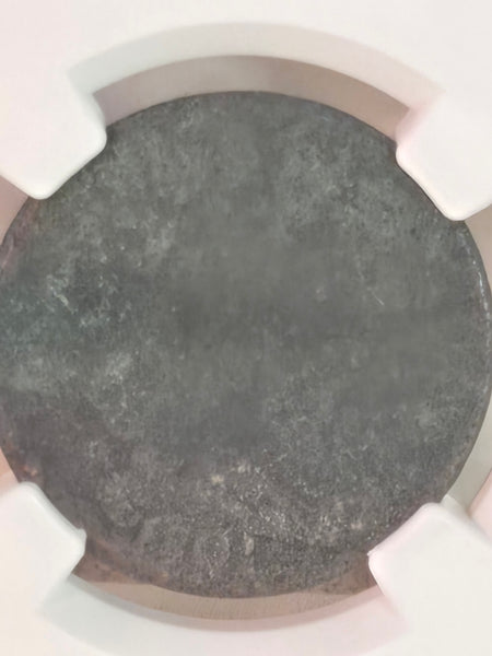 1801 US Draped Bust large Cent coin NGC Fine Details, Damage