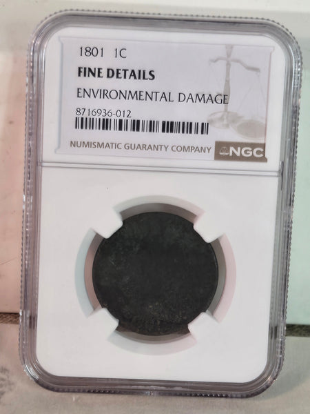 1801 US Draped Bust large Cent coin NGC Fine Details, Damage