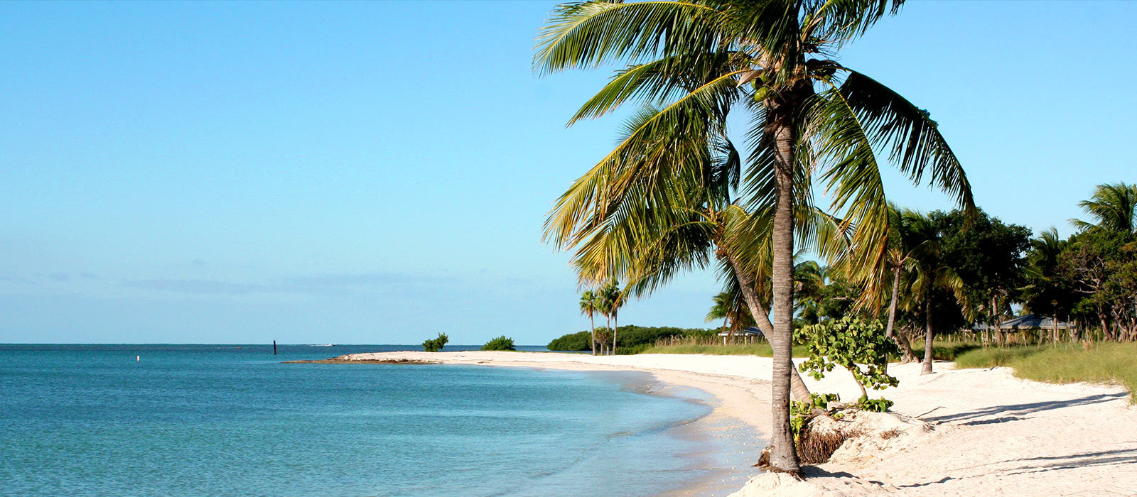 Welcome to Florida Curios & Collectibles