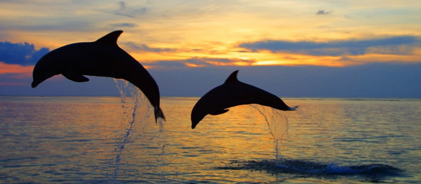 See our latest items here